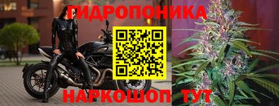 крисы Донской