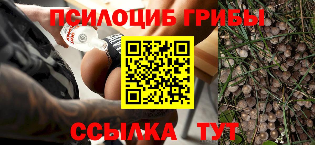 Псилоцибиновые грибы GOLDEN TEACHER Нижневартовск