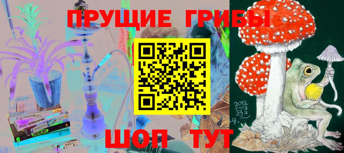 Псилоцибиновые грибы Cubensis  Галлюциногенные грибы мицелий  Нижневартовск  Вход с VPN 